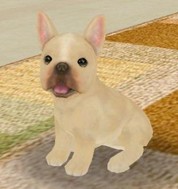 画像ギャラリー No.009のサムネイル画像 / 「てのひらワンコ」,チュートリアルクリアボーナスで,もう1匹わんこがもらえる