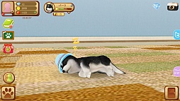 画像ギャラリー No.003のサムネイル画像 / スマホで始める新しいペットライフ。スマホ向け育成ゲーム「てのひらワンコ」を紹介する「(ほぼ)日刊スマホゲーム通信」第746回