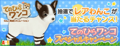 画像ギャラリー No.001のサムネイル画像 / 「てのひらワンコ」,ボーダーチワワが当たるキャンペーンを開催