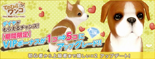 画像ギャラリー No.001のサムネイル画像 / 「てのひらワンコ」,お得な便利アイテムや洋服などが入ったボックスが登場