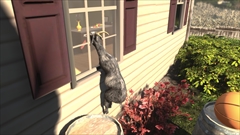 画像ギャラリー No.005のサムネイル画像 / 世界初の“ヤギ”シミュレーションゲーム「Goat Simulator」，Steamでのリリース日を4月1日と告知。Steam WorkshopでのMOD対応にも言及