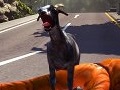 ヤギが2匹で楽しさ2倍？　「Goat Simulator」5月のアップデートでマルチプレイや新マップなどが追加