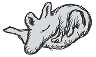 画像ギャラリー No.037のサムネイル画像 / 今春配信予定のPS Mobile向け新作タイトル「野犬のロデム」の最新情報が公開に。犬としての生活を楽しめる“野良犬体験シミュレーション”