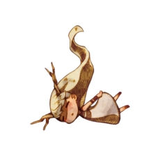 画像ギャラリー No.022のサムネイル画像 / 「htoL#NiQ −ホタルノニッキ−」，廃墟内にある「植物園」やステージ内のギミックなどの情報が明らかに