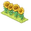画像ギャラリー No.009のサムネイル画像 / 「楽園生活 ひつじ村」，イベント“スイカ収穫チャレンジ”開催。作物を収穫して報酬をゲットしよう