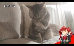 画像ギャラリー No.009のサムネイル画像 / 「スクスト」，ネコが登場するキャラナレ付きのWEB動画「きょうの隊長さん」を公開