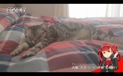 画像ギャラリー No.002のサムネイル画像 / 「スクスト」，ネコ隊長のWeb動画「きょうの隊長さん」第2弾が公開