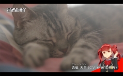 画像ギャラリー No.003のサムネイル画像 / 「スクスト」，ネコ隊長のWeb動画「きょうの隊長さん」第2弾が公開