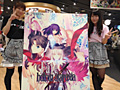 「Fate/hollow ataraxia」のパッケージビジュアルが公開。原画は武内 崇氏，彩色はこやまひろかず氏が担当