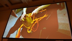 画像ギャラリー No.016のサムネイル画像 / ［CEDEC 2014］日本人の心に響く，和楽器の音色と邦楽の旋律。ゲーム音楽に和楽器を導入する「和楽器推進委員会」が，そのノウハウを語る