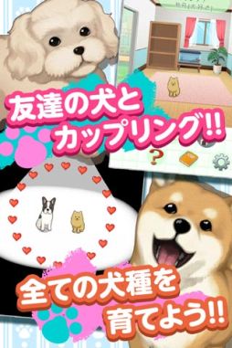 ウチの犬〜飼い主になってください〜
