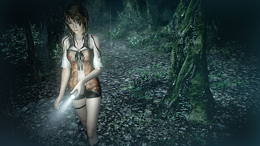 画像ギャラリー No.009のサムネイル画像 / Wii U「零〜濡鴉ノ巫女〜」が正式発表。発売日は9月27日