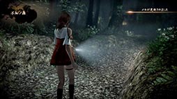 画像ギャラリー No.040のサムネイル画像 / Wii U「零〜濡鴉ノ巫女〜」，キーアイテム「射影機」の使い方にフォーカスしたインゲームシーン満載の紹介映像が公開