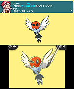 画像ギャラリー No.006のサムネイル画像 / ポケモンの描き方を通して絵心を養える3DS「ポケモンアートアカデミー」が6月19日発売