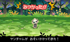 画像ギャラリー No.008のサムネイル画像 / 「とうぞくと1000びきのポケモン」,ゲームの流れや攻略に関するアドバイスなど,新情報を一挙紹介