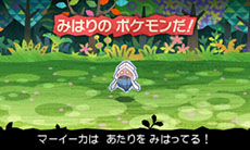 画像ギャラリー No.009のサムネイル画像 / 「とうぞくと1000びきのポケモン」,ゲームの流れや攻略に関するアドバイスなど,新情報を一挙紹介