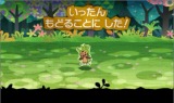 とうぞくと1000びきのポケモン