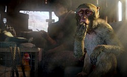 画像ギャラリー No.006のサムネイル画像 / ［E3 2014］人気シリーズ最新作「Far Cry 4」のプロデューサーにインタビュー。象の背にまたがって，群がる悪人どもを蹴散らそう