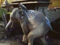 「Far Cry 4」，ゲームの魅力が詰まったWeb限定CMを2本公開。PS4版の初回特典に「PS Plus15日無料体験券」が追加