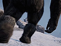 「ファークライ4」最新DLC「イェティの谷」の国内配信が発表。Xbox One版が3月10日，PS4版とPS3版が3月11日より配信