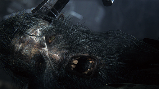 画像ギャラリー No.036のサムネイル画像 / ［E3 2014］フロムのPS4向け新作「Bloodborne」，舞台などの概要やアートワーク，高解像度のスクリーンショットが公開