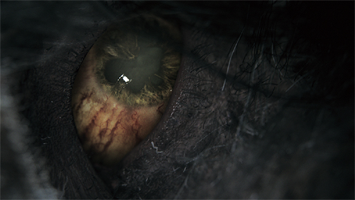 画像ギャラリー No.037のサムネイル画像 / ［E3 2014］フロムのPS4向け新作「Bloodborne」，舞台などの概要やアートワーク，高解像度のスクリーンショットが公開