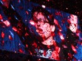 ［TGS 2014］クリア率3％の高難度ミッションにプロデューサーの山際氏が挑んだ「Bloodborne」遊王戦ステージレポート