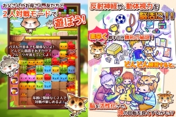 画像ギャラリー No.003のサムネイル画像 / 脳活パズルゲーム「ねこねこフルーツ♪」がGoogle Playで本日配信に