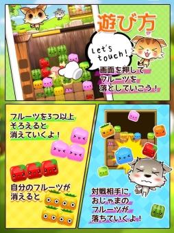 ねこねこフルーツ♪