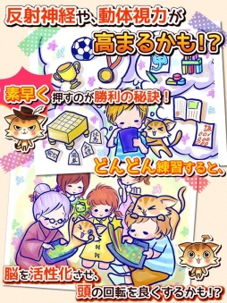 ねこねこフルーツ♪