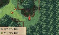画像ギャラリー No.004のサムネイル画像 / 「不思議の国の冒険酒場」と「不思議の国のラビリンス」が期間限定で50%OFF