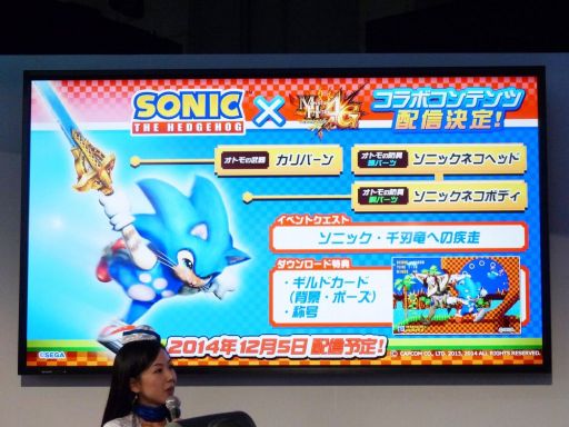 画像ギャラリー No.009のサムネイル画像 / ［TGS 2014］ソニックシリーズ本編とは違う新ブランド「ソニックトゥーン」。ステージイベントではWii U版/3DS版それぞれのデモプレイが披露