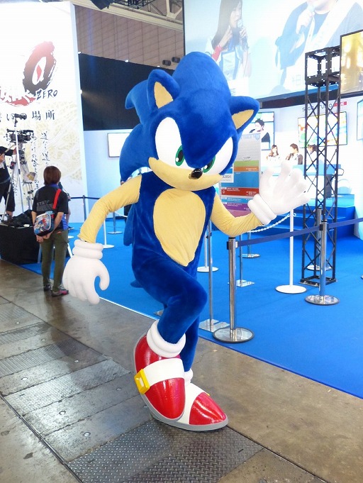 画像ギャラリー No.009のサムネイル画像 / ［TGS 2014］これまでとはちょっと趣の違うソニック達が活躍する「ソニックトゥーン 太古の秘宝」「ソニックトゥーン アイランドアドベンチャー」プレイレポート