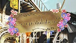 画像ギャラリー No.036のサムネイル画像 / 「シェルノサージュ OFFLINE」,とあるプレイヤーの1日を追う体験レポートが公開。初回特典であるコスチューム「巫女服」のビジュアルも