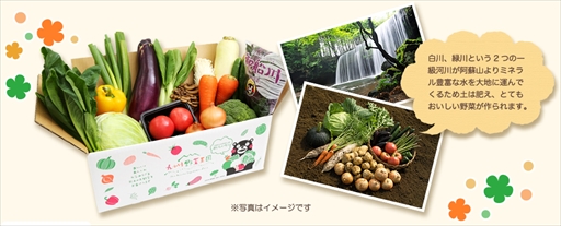 画像ギャラリー No.002のサムネイル画像 / 「ハッピーベジフル」，「熊本原産冬野菜セット」プレゼントキャンペーンを実施