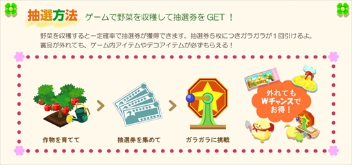画像ギャラリー No.004のサムネイル画像 / 「ハッピーベジフル」，「熊本原産冬野菜セット」プレゼントキャンペーンを実施