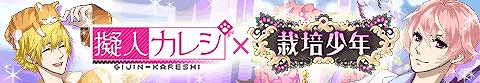 画像ギャラリー No.001のサムネイル画像 / 恋愛ゲーム「擬人カレシ」と「栽培少年」がコラボキャンペーンを実施