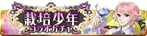 画像ギャラリー No.002のサムネイル画像 / 恋愛ゲーム「擬人カレシ」と「栽培少年」がコラボキャンペーンを実施