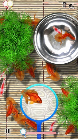 桜金魚すくい
