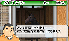 画像ギャラリー No.020のサムネイル画像 / 3DS「ダービースタリオンGOLD」最新情報。上/下画面を活用したインタフェースや3D立体視対応のレースシーンで，まさに“3DSならではのダビスタ”に