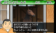 画像ギャラリー No.021のサムネイル画像 / 「ダービースタリオンGOLD」，インターネットを介して全国のプレイヤーと競走馬で競う「インターレース」の詳細や，新種牡馬/牧場/調教の情報が公開