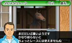 画像ギャラリー No.017のサムネイル画像 / 「ダービースタリオンGOLD」，牧場専任の調教師や8つの厩舎それぞれの育成・仕上げ方など，競走馬の調教方法に関する情報が公開