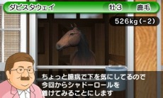 画像ギャラリー No.003のサムネイル画像 / 「ダービースタリオンGOLD」過去シリーズのライバル馬「アグリキャップ」と「メジロマッコイーン」も参戦。初回購入特典「特別版」の詳細を公開