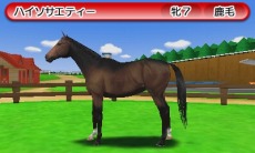 画像ギャラリー No.017のサムネイル画像 / 「ダービースタリオンGOLD」過去シリーズのライバル馬「アグリキャップ」と「メジロマッコイーン」も参戦。初回購入特典「特別版」の詳細を公開