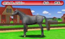 画像ギャラリー No.018のサムネイル画像 / 「ダービースタリオンGOLD」過去シリーズのライバル馬「アグリキャップ」と「メジロマッコイーン」も参戦。初回購入特典「特別版」の詳細を公開