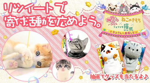 画像ギャラリー No.002のサムネイル画像 / 「にゃんパズル」，「フェリシモ猫部」「ねこのきもち」とのコラボを実施
