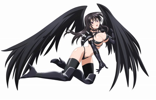 画像ギャラリー No.008のサムネイル画像 / 「ハイスクールD×D NEW FIGHT」ニコ生番組を4月6日に放送。堕天使ガチャも