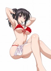 画像ギャラリー No.002のサムネイル画像 / 「ハイスクールD×D NEW FIGHT」，湯けむりイベントが本日スタート
