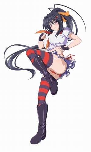 画像ギャラリー No.007のサムネイル画像 / 「ハイスクールD×D NEW FIGHT」が「閃乱カグラ ESTIVAL VERSUS 」「VALKYRIE DRIVE」の2タイトルとコラボ