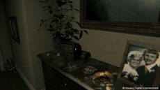 画像ギャラリー No.006のサムネイル画像 / PS4向けホラーアクションADV「P.T.」の公式サイトがオープン。さまざまなシーンを収めたスクリーンショットも公開中